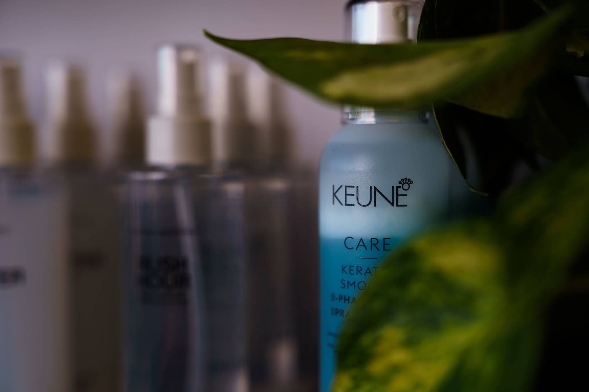 Keune Care spray behind a trailing pothos leaf